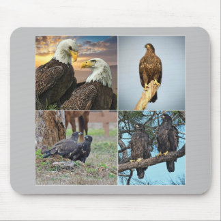 Adlerfamilie Harriet, M115 der Mausunterlage SWFL Mousepad