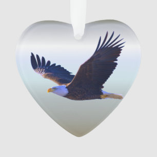 Adlerfliegen Ornament