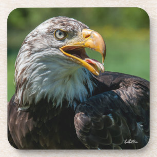 Adlerfoto Getränkeuntersetzer