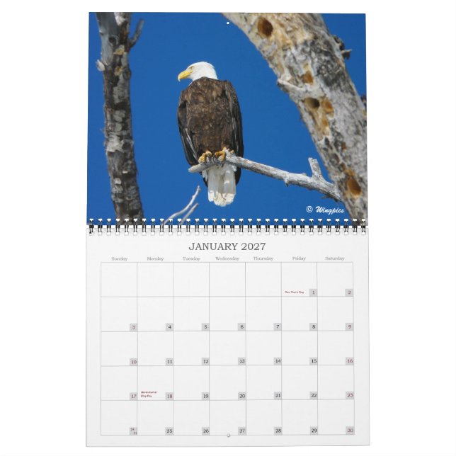 Adlerkalender für Wingpics 2012 Kalender (Jan 2027)