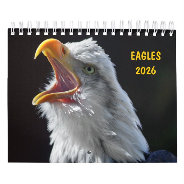 Adlerkalender Kalender (Titelbild)