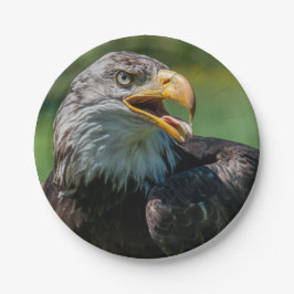 Adlerphoto Pappteller