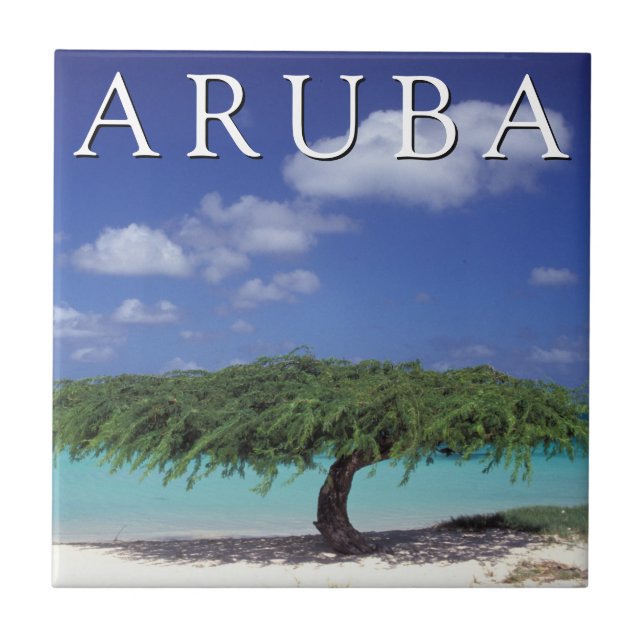 Adlerstrand | Karibik, Aruba Fliese (Vorderseite)