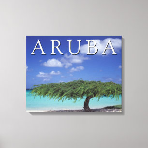 Adlerstrand   Karibik, Aruba Leinwanddruck