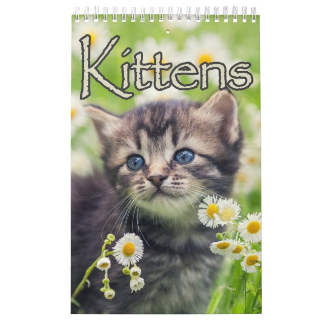 Adlige Kätzchen & herzerwärmende Redewendungen Gro Kalender (Titelbild)