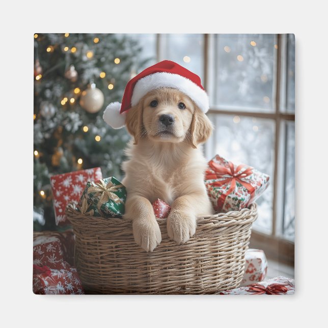 Adlige Welpe mit Weihnachtsmannmütze im Korb Magnet (Vorne)