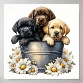 Adlige Welpen in einer Blume Poster