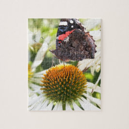 Admiral Butterfly auf Blume