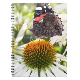 Admiral Butterfly auf Blume Notizblock