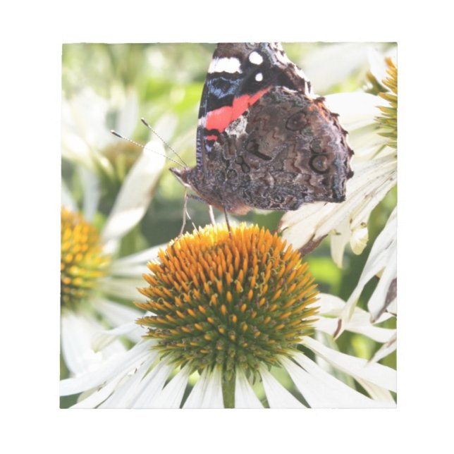 Admiral Butterfly auf Blume Notizblock (Vorderseite)