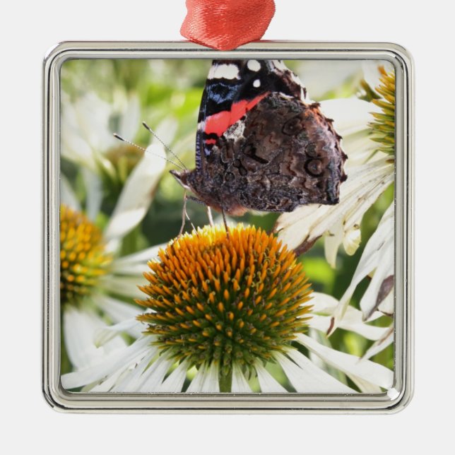 Admiral Butterfly auf Blume Silbernes Ornament (Vorne)