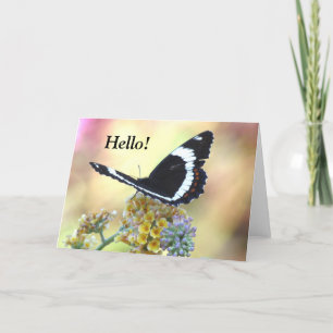 Admiral Butterfly Grußkarte Karte