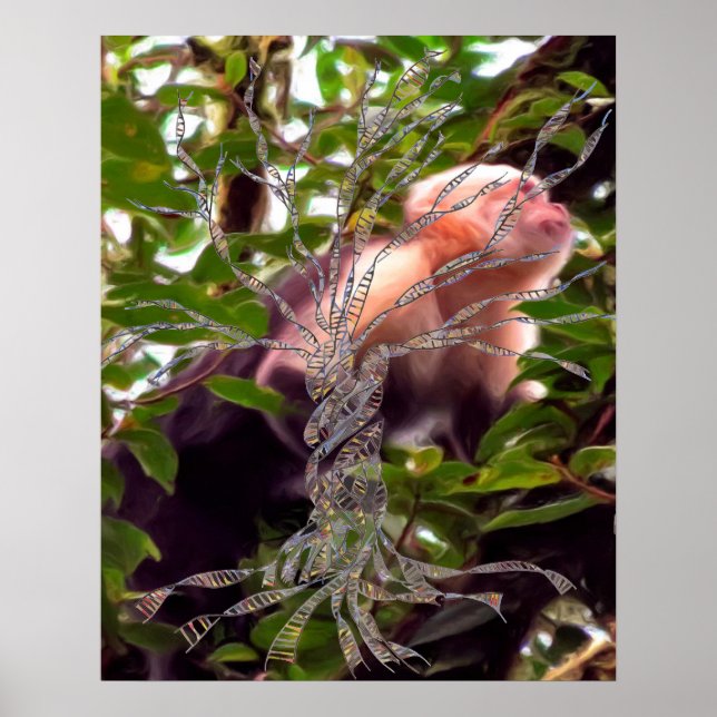 ADN ARBRE ou arbre de vie POSTER MONKEY ARRIÈRE -  (Devant)