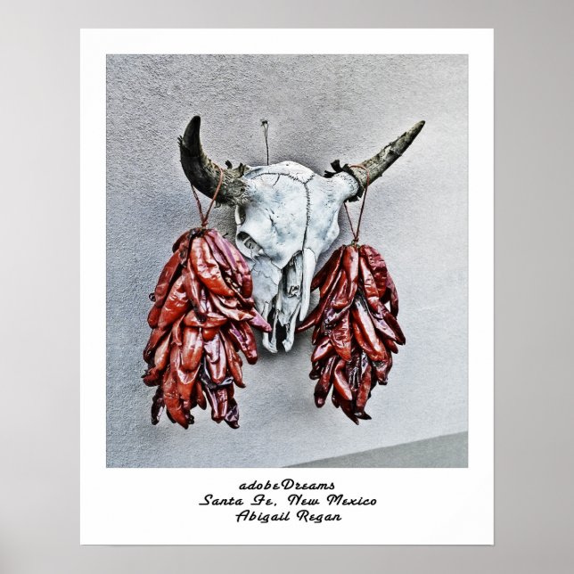 adobeDreams par Abigail Regan poster (Devant)