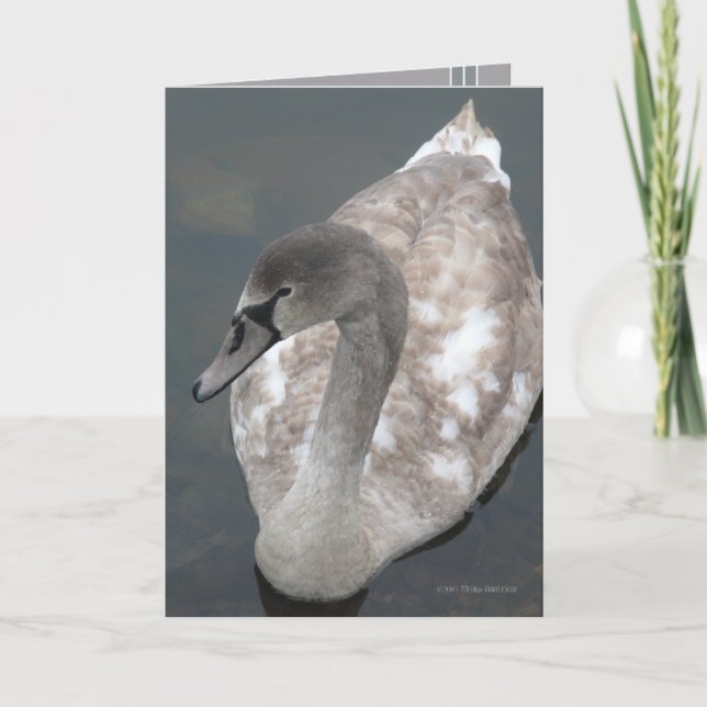 Adoleszent Beauty Karte (Vorderseite)