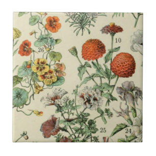 Adolph Millot Botanische Blumendetails 3 Fliese