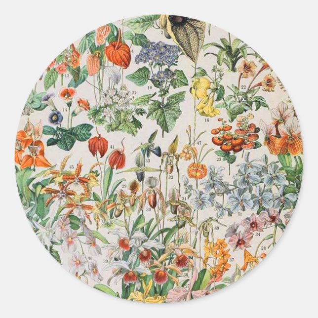 Adolphe Millot Blume D Runder Aufkleber (Vorderseite)