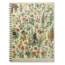 Adolphe Millot-Blume Muster-A-Notebook