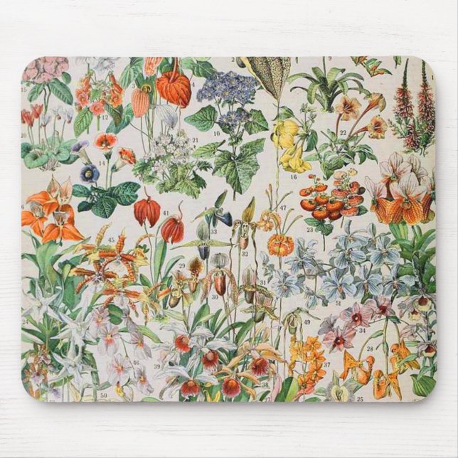Adolphe Millot Blumen D Mousepad (Vorne)