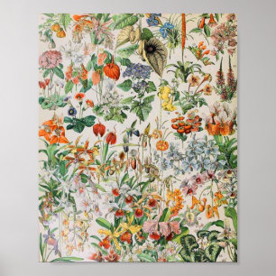 Adolphe Millot Blumen D Poster