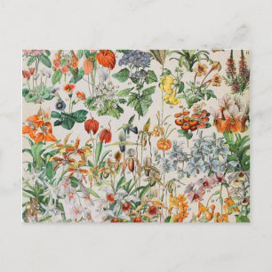 Adolphe Millot Blumen D Postkarte