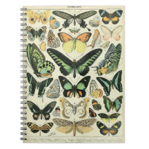 Adolphe Millot Butterflies Muster-B-Notebook