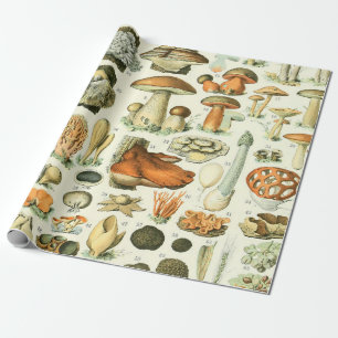 Adolphe Millot Champignon Champignon Pilz Print Geschenkpapier