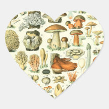Adolphe Millot Champignon Pilz Print