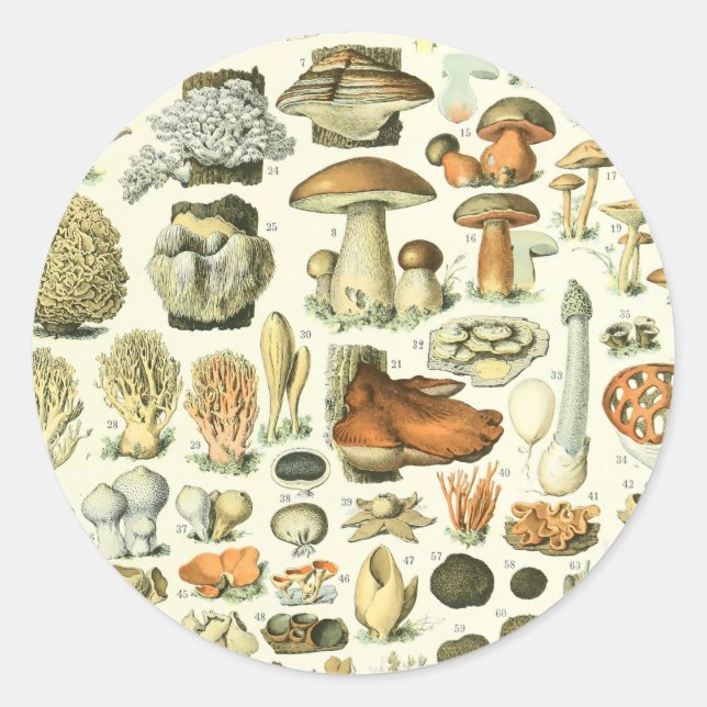 Adolphe Millot Champignon Pilz Print Runder Aufkleber (Vorderseite)