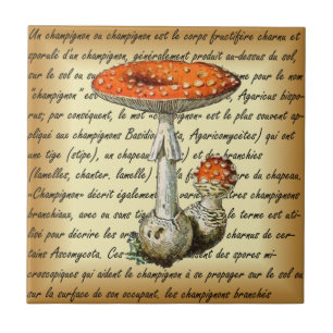 Adolphe Millot ~ Champignons-pour tous fixiert ~ Fliese