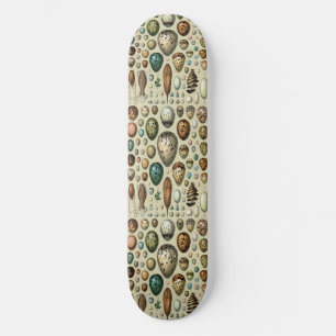 Adolphe Millot Dark Academia Vintage-Vogelei-Kunst Skateboard