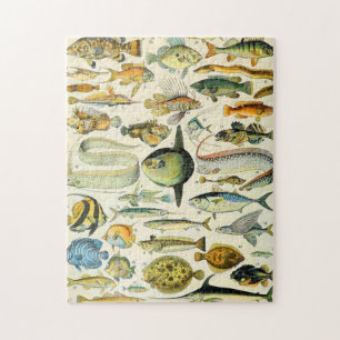 Adolphe Millot Fisch A