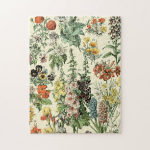Adolphe Millot Fleurs A