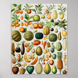 Adolphe Millot Früchte B Poster