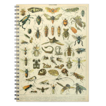 Adolphe Millot Insects Muster-C-Notebook