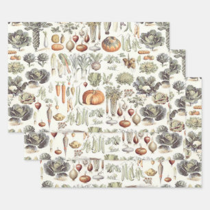 Adolphe Millot Motif végétal papier d'enrobage Sh