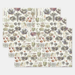 Adolphe Millot Motif végétal papier d'enrobage Sh