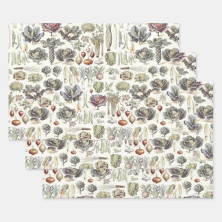 Adolphe Millot Motif végétal papier d'enrobage Sh