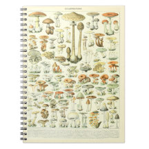 Adolphe Millot Notebook-Mushroom-Muster
