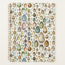 Adolphe Millot Ouefs Eggs