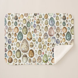 Adolphe Millot Ouefs Eggs Sherpadecke