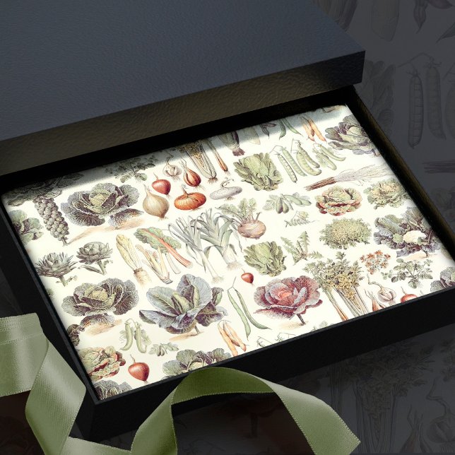 Adolphe Millot Pflanzenmuster Seidenpapier (Von Creator hochgeladen)