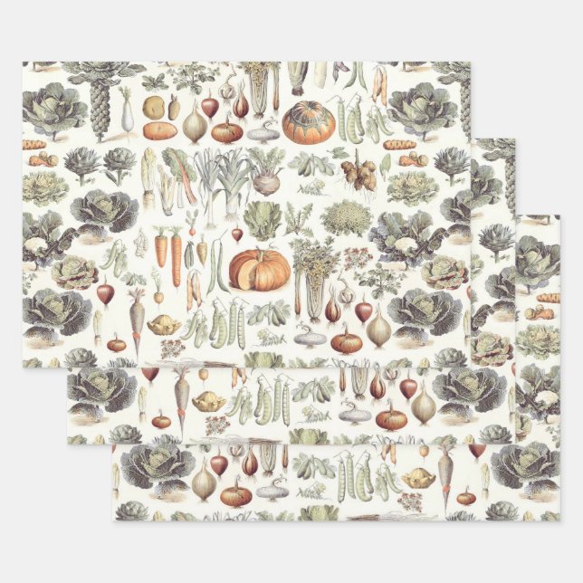 Adolphe Millot Pflanzenmuster Umhüllungspapier Geschenkpapier Set (Set)