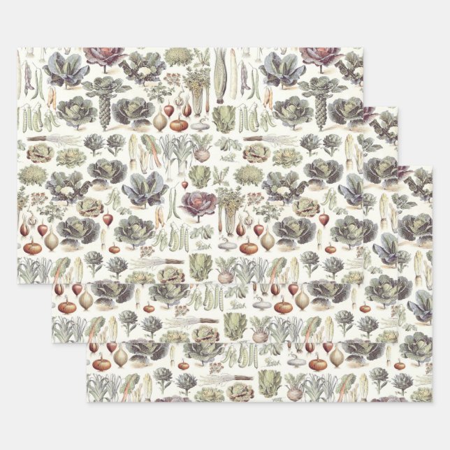 Adolphe Millot Pflanzenmuster Umhüllungspapier Geschenkpapier Set (Set)