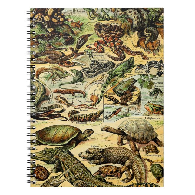 Adolphe Millot Reptiles 2 Notebook Notizblock (Vorderseite)
