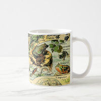 Adolphe Millot Reptiles 2 Tasse