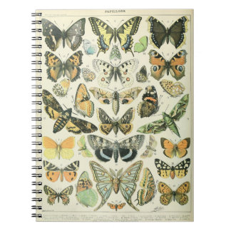 Adolphe Millot Schmetterlinge Pattern-A Notizbuch Notizblock