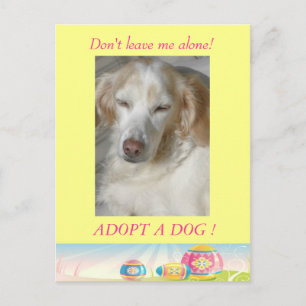 Adopter une carte postale de Pâques de Chien