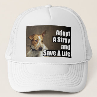 Adoptez un casquette égaré