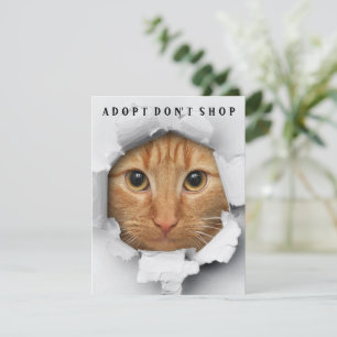 Adoptier Don't Shop Cat Awareness Flat Card Einladung